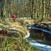 Wanderweg am Bach entlang