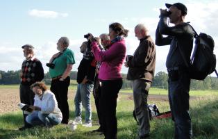 NaturFreunde auf einer ornithologischen Exkursion. NaturFreunde auf einer ornithologischen Exkursion.