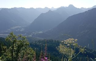 Allgäuer Hochalpen im Sommer