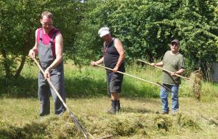 Heuernte auf der Streuobstwiese in Durlach Heuernte auf der Streuobstwiese in Durlach